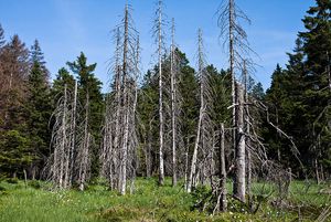 Foto: flickr/hotshot_1980