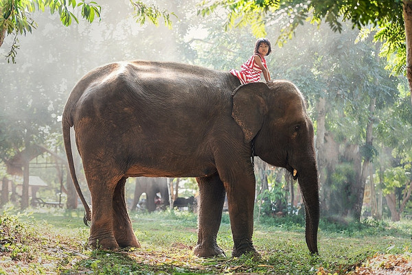 Foto: Pixabay CC/PublicDomain/Sasin Tipchai