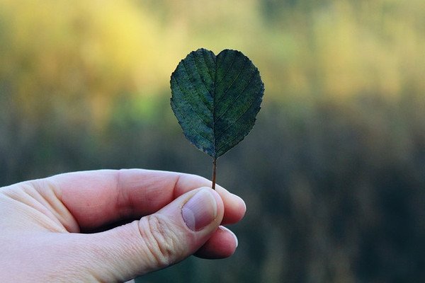 Foto: Pixabay CC/PublicDomain