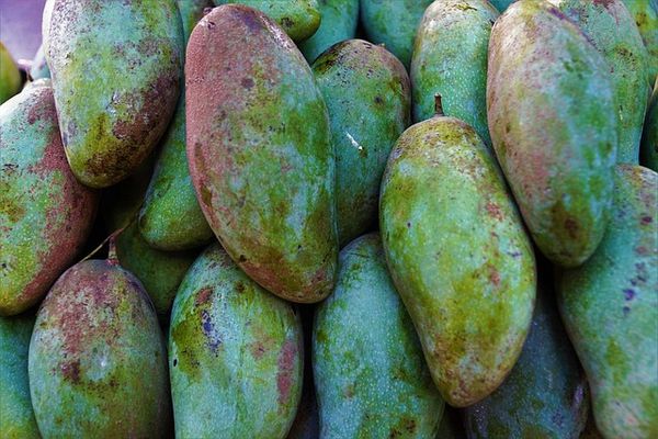 Foto: Pixabay CC/PublicDomain