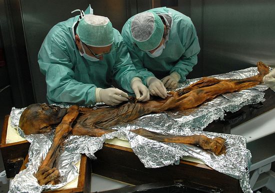 Foto: Southtyrolarchaeologymuseum\Eurac Research\M.Samadelli